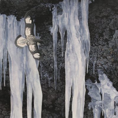 Cape Petrel and Icicles