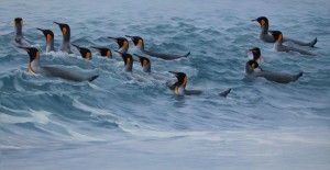 Kings in the surf