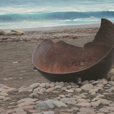 Trypot and Fur seals - Wilson Harbour