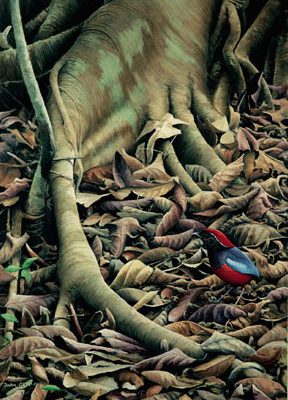 Garnet Pitta