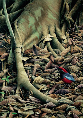 Garnet Pitta