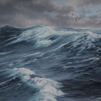 Wandering Albatross - coming out of the storm