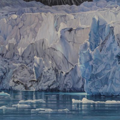 Risting Glacier, Drygalski Fjord – South Georgia