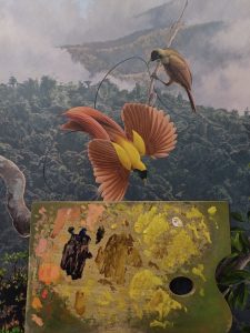Framed Red bird of Paradise