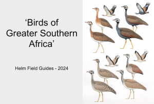 Birds of Greater Southern Africa