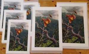 Prints Red bird of Paradise